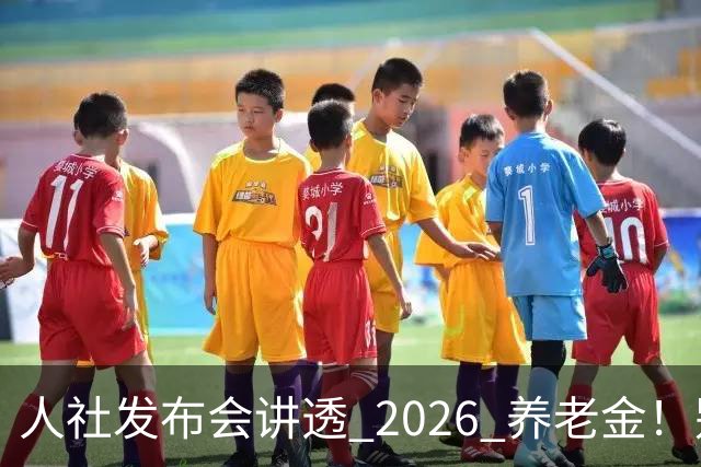 人社发布会讲透 2026 养老金！别被网上传言带偏了