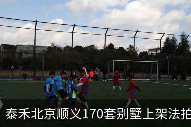 泰禾北京顺义170套别墅上架法拍 起拍价10.90亿元