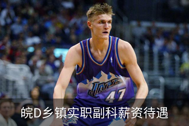 皖D乡镇实职副科薪资待遇